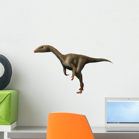 Dracoraptor Is Carnivorous Theropod Wall Decal