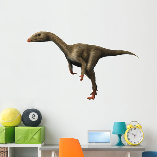 Dracoraptor Is Carnivorous Theropod Wall Decal