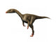 Dracoraptor Is Carnivorous Theropod Wall Decal