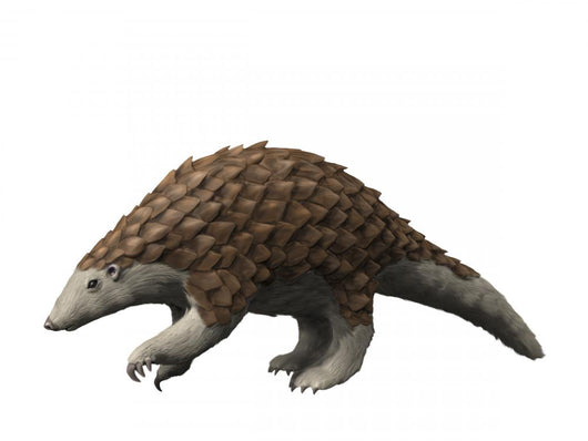 Eomanis Waldi Is Pangolin Wall Decal