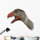 Incisivosaurus Is Theropod Dinosaur Wall Decal
