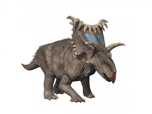 Kosmoceratops Is Ceratopsian Dinosaur Wall Decal