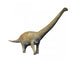 Notocolossus Is Large Titanosaur Wall Decal