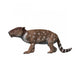 Pantolambda Bathmodon Is Pantodont Wall Decal