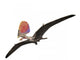 Tupandactylus Is Pterosaur from Wall Decal