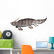 Xenacanthus Decheni Prehistoric Shark Wall Decal