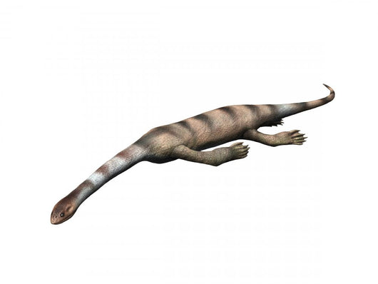 Keichousaurus Hui Sauropterygia Late Wall Decal