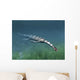 Keichousaurus Hui Aquatic Reptile Wall Decal