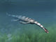 Keichousaurus Hui Aquatic Reptile Wall Decal