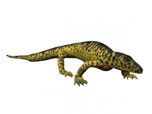 Mycterosaurus Longiceps Synapsida Early Wall Decal