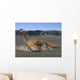 Oviraptor Philoceratops Sitting Nest Wall Decal