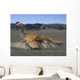 Oviraptor Philoceratops Sitting Nest Wall Decal