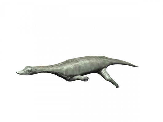 Wumengosaurus Aquatic Reptile from Wall Decal