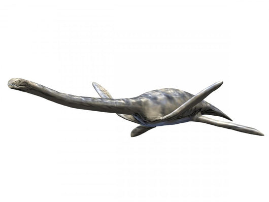 Zarafasaura Oceanis Aquatic Reptile Wall Decal