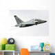 Alenia Aermacchi M-346 Master In-Flight Wall Decal
