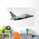 Alenia Aermacchi M-346 Master In-Flight Wall Decal