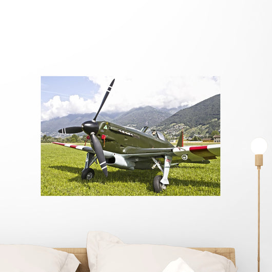 Morane-saulneir D-3801 Swiss Air Wall Decal