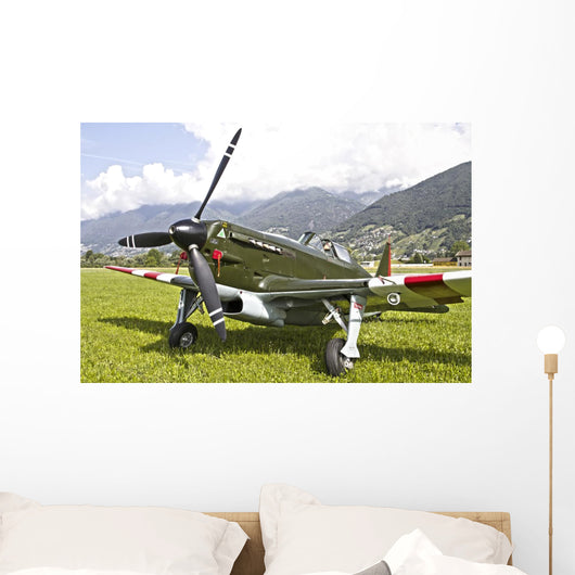Morane-saulneir D-3801 Swiss Air Wall Decal