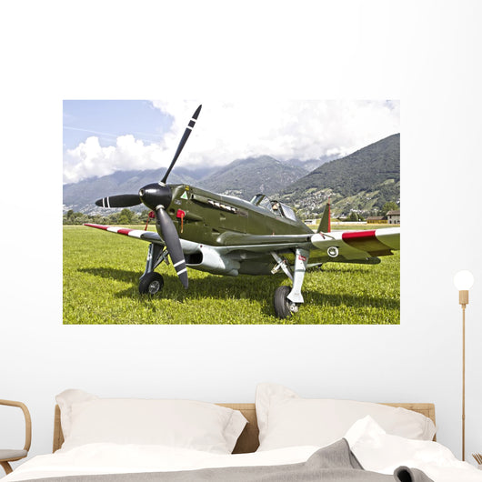 Morane-saulneir D-3801 Swiss Air Wall Decal