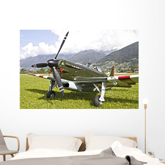 Morane-saulneir D-3801 Swiss Air Wall Decal