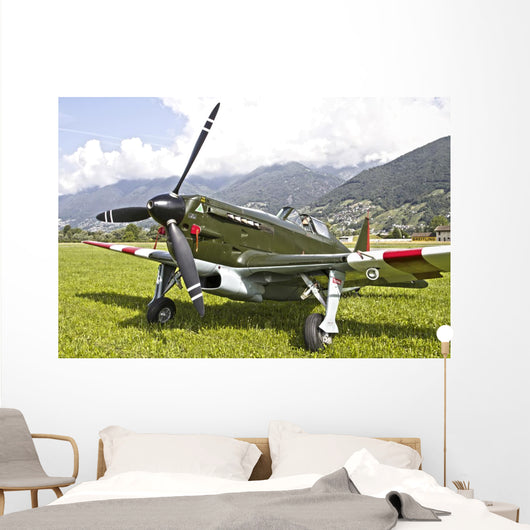 Morane-saulneir D-3801 Swiss Air Wall Decal