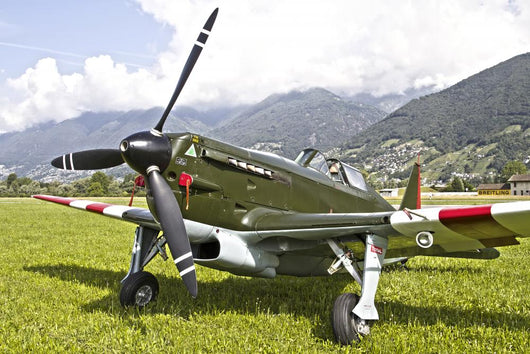 Morane-saulneir D-3801 Swiss Air Wall Decal
