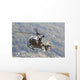 Eurocopter Ec635 Swiss Air Wall Decal