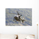 Eurocopter Ec635 Swiss Air Wall Decal