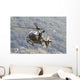 Eurocopter Ec635 Swiss Air Wall Decal