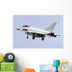 Eurofighter Typhoon 2000 Italian Back Wall Decal