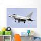 Eurofighter Typhoon 2000 Italian Back Wall Decal