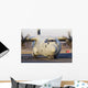 C-130j-30 Hercules Italian Air Front Wall Decal