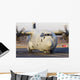 C-130j-30 Hercules Italian Air Front Wall Decal