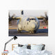 C-130j-30 Hercules Italian Air Front Wall Decal
