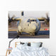C-130j-30 Hercules Italian Air Front Wall Decal