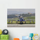 Mb-339a Pan Frecce Tricolor Wall Decal