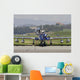 Mb-339a Pan Frecce Tricolor Wall Decal