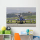 Mb-339a Pan Frecce Tricolor Wall Decal