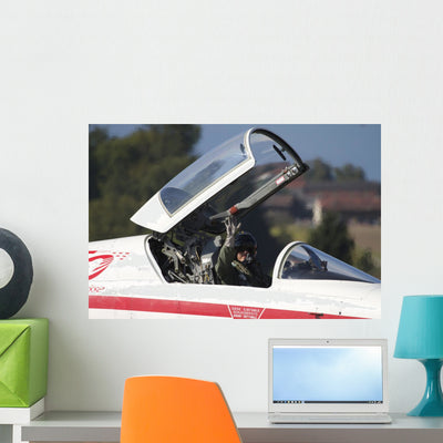 Pilot Waves from Cockpit Wall Decal shown on a wall