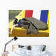 Close-up Pilot Gear Wing Wall Decal