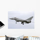 Eurofighter Typhoon 2000 Italian Sky Wall Decal