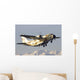 Chadian Air Force C-27j Wall Decal