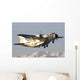 Chadian Air Force C-27j Wall Decal