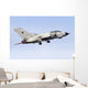 Italian Air Force Panavia Wall Decal