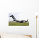 C-17 Globemaster Iii Royal Wall Decal
