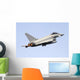 Eurofighter Typhoon 2000 Italian In-Flight Wall Decal