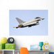 Eurofighter Typhoon 2000 Italian In-Flight Wall Decal