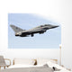 Eurofighter Typhoon 2000 Italian Wall Decal