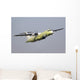 Atr 72-600 Maritime Patrol Wall Decal