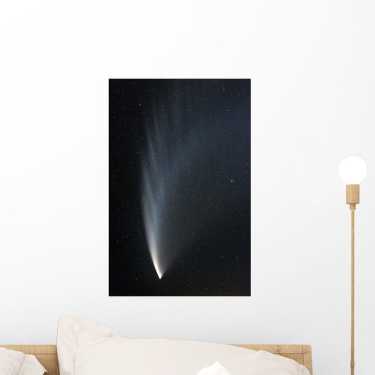 Comet McNaught P1 Wall Decal Design 1